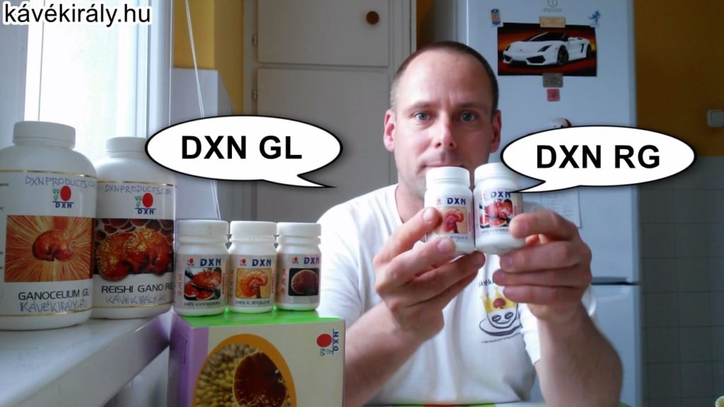 DXN RG és DXN GL Reishi kivonatok