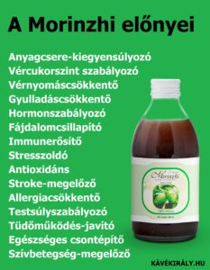 Noni juice (DXN Morinzhi) egészségügyi előnyei