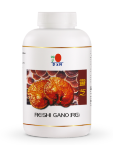 Reishi Gano kapszula: DXN RG 360 darabos Ganoderma gyógygomba kapszula az erős, hatékony méregtelenítéshez