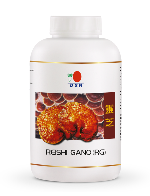 Reishi Gano kapszula: DXN RG 360 darabos Ganoderma gyógygomba kapszula az erős, hatékony méregtelenítéshez
