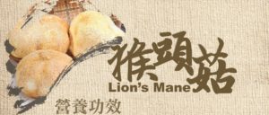 A Lion's Mane gyógygombát oroszlánsörényhez, sünhöz és majomfejhez is hasonlították